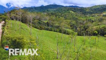 Terreno General en venta en Mira Flores, Pérez Zeledón, San José, Costa Rica — foto 3