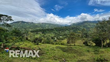 Terreno General en venta en Mira Flores, Pérez Zeledón, San José, Costa Rica — foto 4