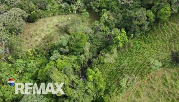 Flat Property of More Than 1 Acre With a Stream in Miraflores, Pérez Zeledón