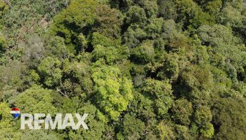 Terreno General en venta en TIRRA DE RIVAS, Pérez Zeledón, San José, Costa Rica — foto 2