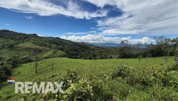 Terreno General en venta en TIRRA DE RIVAS, Pérez Zeledón, San José, Costa Rica — foto 7