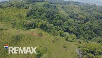 Terreno de 7.5 Hectáreas Con Vista al Mar y al Río Térraba – Balsar de Osa