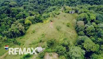 Terreno General en venta en Balsar de Osa, Osa, Puntarenas, Costa Rica — foto 2