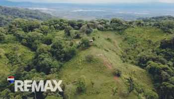 Terreno General en venta en Balsar de Osa, Osa, Puntarenas, Costa Rica — foto 3