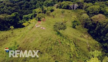 Terreno General en venta en Balsar de Osa, Osa, Puntarenas, Costa Rica — foto 6