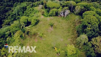 Terreno General en venta en Balsar de Osa, Osa, Puntarenas, Costa Rica — foto 7