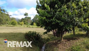 Raw Land for sale in ROSARIO DE PACUAR, Pérez Zeledón, San José, Costa Rica — photo 3