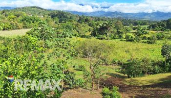 Raw Land for sale in ROSARIO DE PACUAR, Pérez Zeledón, San José, Costa Rica — photo 5