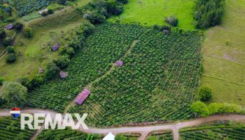 Raw Land for sale in Santa Elena, Pérez Zeledón, Pérez Zeledón, San José, Costa Rica — photo 2