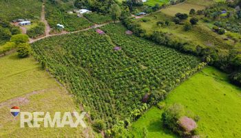 Raw Land for sale in Santa Elena, Pérez Zeledón, Pérez Zeledón, San José, Costa Rica — photo 3