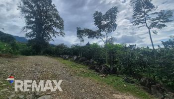 Raw Land for sale in Santa Elena, Pérez Zeledón, Pérez Zeledón, San José, Costa Rica — photo 5
