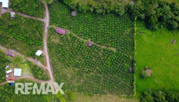 Raw Land for sale in Santa Elena, Pérez Zeledón, Pérez Zeledón, San José, Costa Rica — photo 7