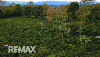 Finca Privada de 1.9 ha en Santa Elena – Terreno Aprovechable, Bosque y Entorno