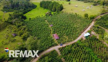 Raw Land for sale in San Elena, Pérez Zeledón, San José, Costa Rica — photo 3