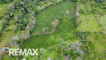 Raw Land for sale in San Elena, Pérez Zeledón, San José, Costa Rica — photo 4