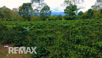 Raw Land for sale in San Elena, Pérez Zeledón, San José, Costa Rica — photo 5