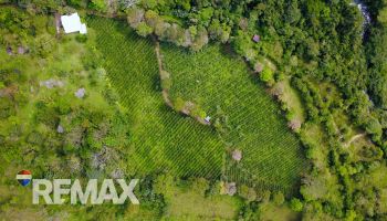 Raw Land for sale in San Elena, Pérez Zeledón, San José, Costa Rica — photo 6