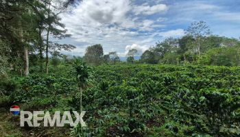 Raw Land for sale in San Elena, Pérez Zeledón, San José, Costa Rica — photo 7