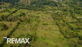 Propiedad Plana de 9.21 Hectáreas en Venta – Miraflores, Pérez Zeledón