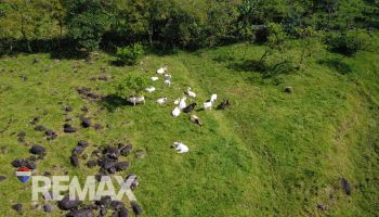 Terreno General en venta en MiraFlores, Perez Zeledon, Pérez Zeledón, San José, Costa Rica — foto 4