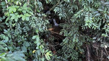 Terreno para Desarrollo en venta en Rivas, San Francisco, Pérez Zeledón, San José, Costa Rica — foto 2
