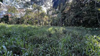 Terreno para Desarrollo en venta en Rivas, San Francisco, Pérez Zeledón, San José, Costa Rica — foto 3