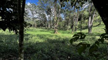 Terreno para Desarrollo en venta en Rivas, San Francisco, Pérez Zeledón, San José, Costa Rica — foto 9
