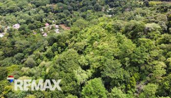 Raw Land for sale in Tres rios, Osa, Puntarenas, Costa Rica — photo 2