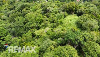 Raw Land for sale in Tres rios, Osa, Puntarenas, Costa Rica — photo 3