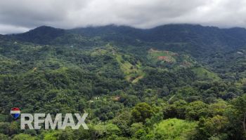 Raw Land for sale in Tres rios, Osa, Puntarenas, Costa Rica — photo 4