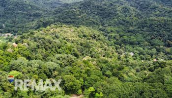 Raw Land for sale in Tres rios, Osa, Puntarenas, Costa Rica — photo 5