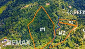 Raw Land for sale in Tres rios, Osa, Puntarenas, Costa Rica — photo 6