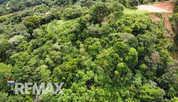 Raw Land for sale in Tres rios, Osa, Puntarenas, Costa Rica — photo 7