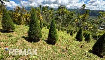 Terreno General en venta en La Bonita, Pérez Zeledón, San José, Costa Rica — foto 2