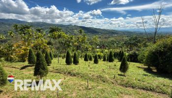 Terreno General en venta en La Bonita, Pérez Zeledón, San José, Costa Rica — foto 4
