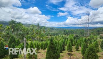Terreno General en venta en La Bonita, Pérez Zeledón, San José, Costa Rica — foto 7