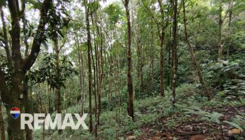 Terreno General en venta en TRES RIOS, Quepos, Puntarenas, Costa Rica — foto 2