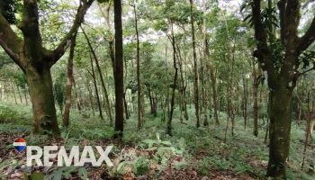 Terreno General en venta en TRES RIOS, Quepos, Puntarenas, Costa Rica — foto 3