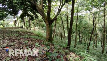 Terreno General en venta en TRES RIOS, Quepos, Puntarenas, Costa Rica — foto 4