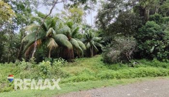 Terreno General en venta en TRES RIOS, Quepos, Puntarenas, Costa Rica — foto 5