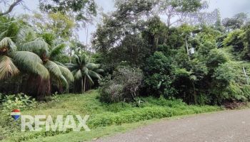 Terreno General en venta en TRES RIOS, Quepos, Puntarenas, Costa Rica — foto 6
