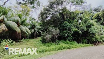 Terreno General en venta en TRES RIOS, OSA, Quepos, Puntarenas, Costa Rica — foto 2