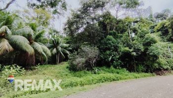 Terreno General en venta en TRES RIOS, OSA, Quepos, Puntarenas, Costa Rica — foto 4
