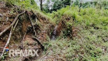 Terreno General en venta en TRES RIOS, OSA, Quepos, Puntarenas, Costa Rica — foto 5