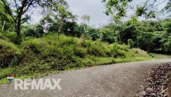 Terreno General en venta en TRES RIOS, OSA, Quepos, Puntarenas, Costa Rica — foto 6