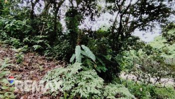 Terreno General en venta en TRES RIOS, OSA, Quepos, Puntarenas, Costa Rica — foto 7