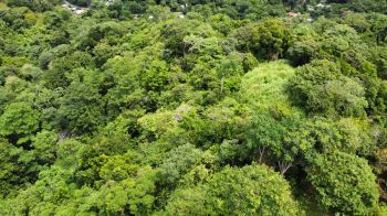 Terreno General en venta en TRES RIOS, OSA, Quepos, Puntarenas, Costa Rica — foto 2
