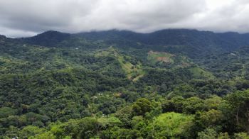 Terreno General en venta en TRES RIOS, OSA, Quepos, Puntarenas, Costa Rica — foto 3