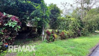 Terreno General en venta en CORONADO DE OSA, Quepos, Puntarenas, Costa Rica — foto 4