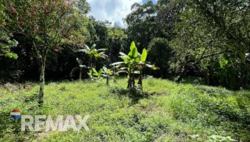 Terreno General en venta en CORONADO DE OSA, Quepos, Puntarenas, Costa Rica — foto 6